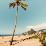 Single Palm on famous Ipanema Beach, Rio De Janeiro, Brazil.
